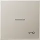 JUNG ES 2990 KO5 T schakelwip met sleutelsymbool en controlevenster LS990 edelstaal
