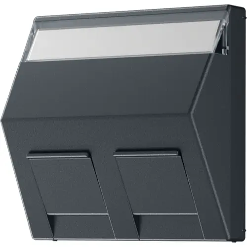 JUNG A 569-30 BF PL ANM centraalplaat voor montage adapter 30 graden met tekstvenster A-range antraciet mat
