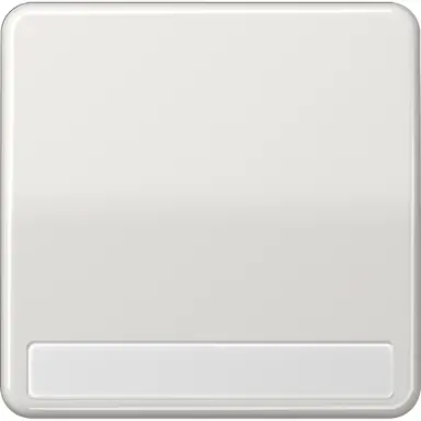 JUNG CD 590 NA LG schakelwip met tekstvenster CD500 lichtgrijs