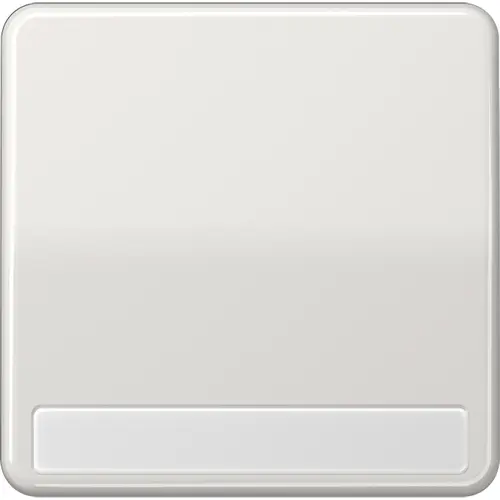 JUNG CD 590 NA LG schakelwip met tekstvenster CD500 lichtgrijs