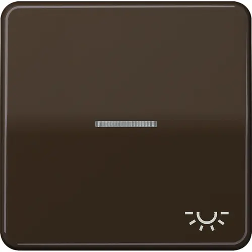 JUNG CD 590 KO5L BR schakelwip met lichtsymbool en controlevenster CD500 bruin