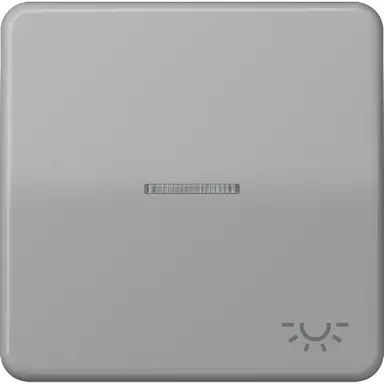 JUNG CD 590 KO5L GR schakelwip met controlevenster met lichtsymbool CD500 grijs