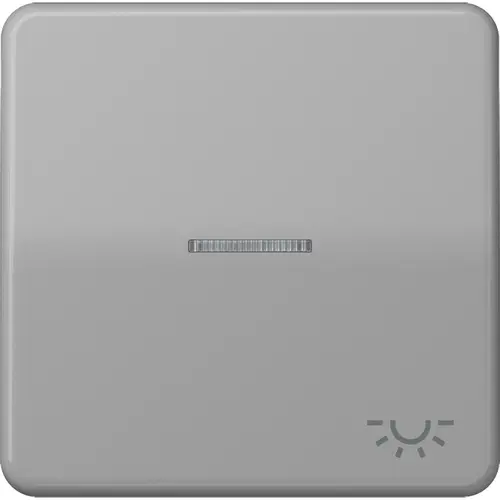JUNG CD 590 KO5L GR schakelwip met controlevenster met lichtsymbool CD500 grijs