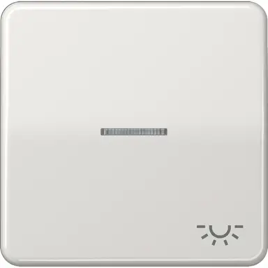JUNG CD 590 KO5L LG schakelwip met lichtsymbool en controlevenster CD500 lichtgrijs