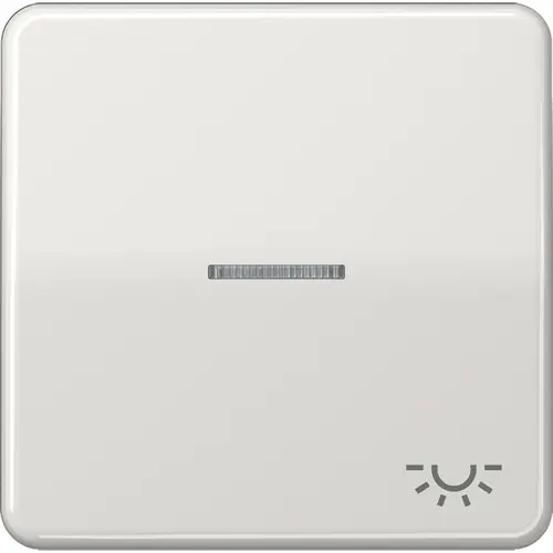 JUNG CD 590 KO5L LG schakelwip met lichtsymbool en controlevenster CD500 lichtgrijs