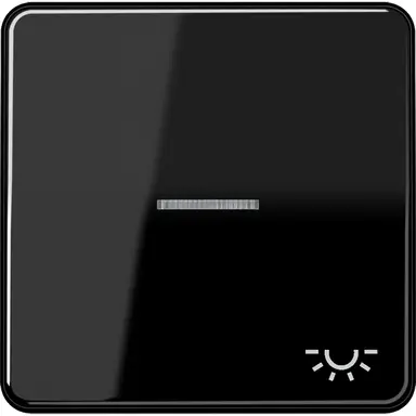JUNG CD 590 KO5L SW schakelwip met lichtsymbool en controlevenster CD500 zwart glans
