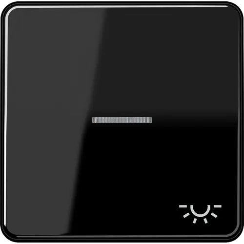 JUNG CD 590 KO5L SW schakelwip met lichtsymbool en controlevenster CD500 zwart glans