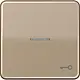 JUNG CD 590 KO5T GB schakelwip met sleutelsymbool en controlevenster CD500 goud brons
