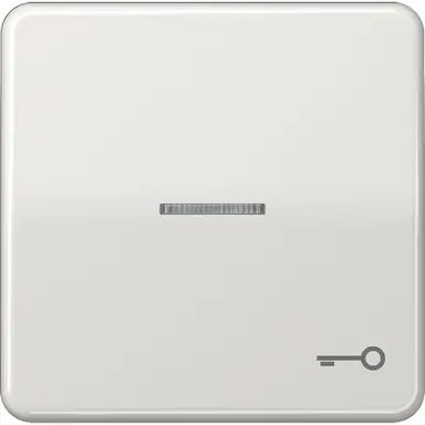 JUNG CD 590 KO5T LG schakelwip met sleutelsymbool en controlevenster CD500 lichtgrijs
