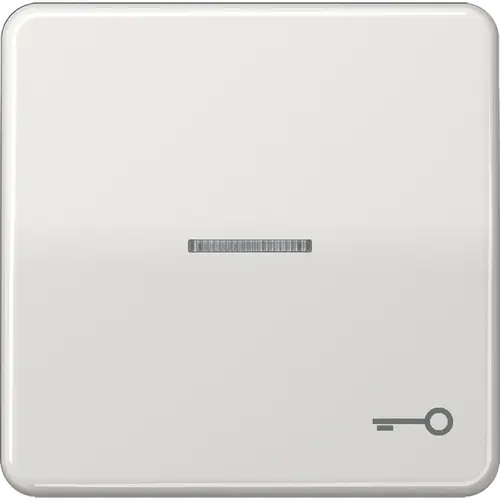 JUNG CD 590 KO5T LG schakelwip met sleutelsymbool en controlevenster CD500 lichtgrijs