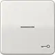 JUNG CD 590 KO5T LG schakelwip met sleutelsymbool en controlevenster CD500 lichtgrijs