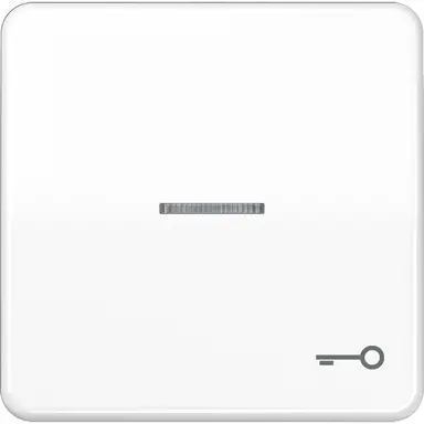 JUNG CD 590 KO5T WW schakelwip met sleutelsymbool en controlevenster CD500 alpine wit