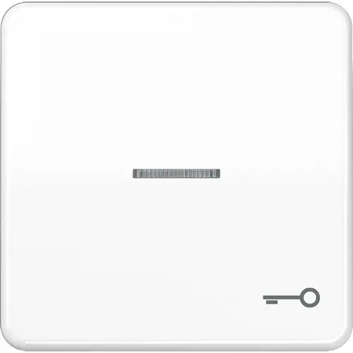 JUNG CD 590 KO5T WW schakelwip met sleutelsymbool en controlevenster CD500 alpine wit