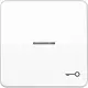 JUNG CD 590 KO5T WW schakelwip met sleutelsymbool en controlevenster CD500 alpine wit