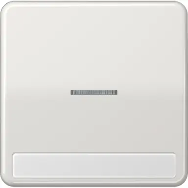 JUNG CD 590 NAKO5 LG schakelwip met controlevenster en tekstvenster CD500 lichtgrijs