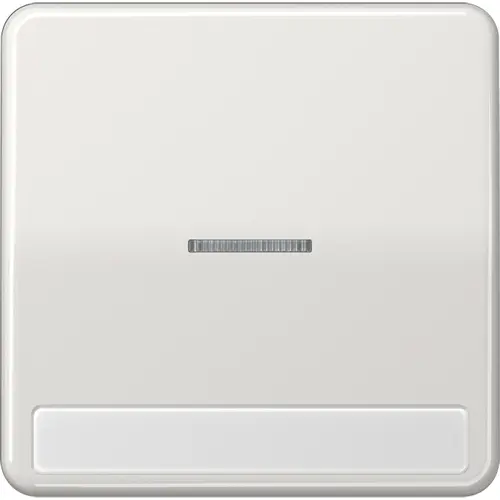 JUNG CD 590 NAKO5 LG schakelwip met controlevenster en tekstvenster CD500 lichtgrijs