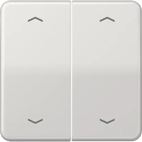JUNG CD 595 MP LG schakelwip 2-voudig met pijlsymbolen CD500 lichtgrijs