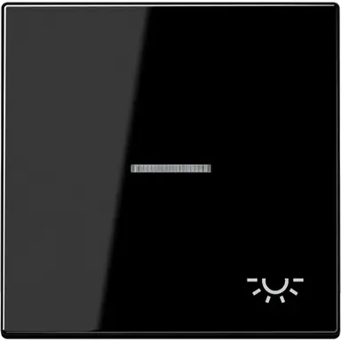 JUNG LS 990 KO5 L SW schakelwip met lichtsymbool en controlevenster LS990 zwart glans