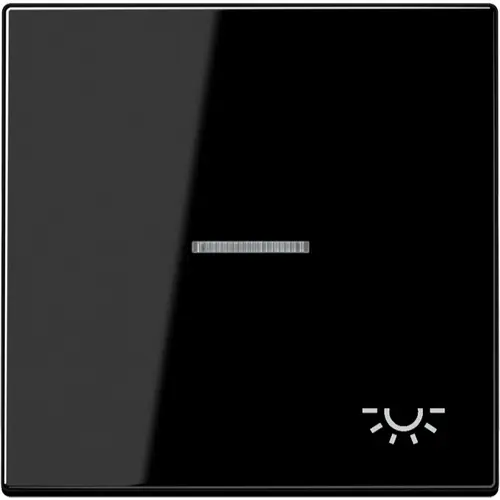 JUNG LS 990 KO5 L SW schakelwip met lichtsymbool en controlevenster LS990 zwart glans