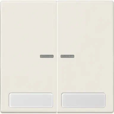 JUNG LS 995 NA KO5 schakelwip 2-voudig met controlevenster en tekstvenster LS990 creme