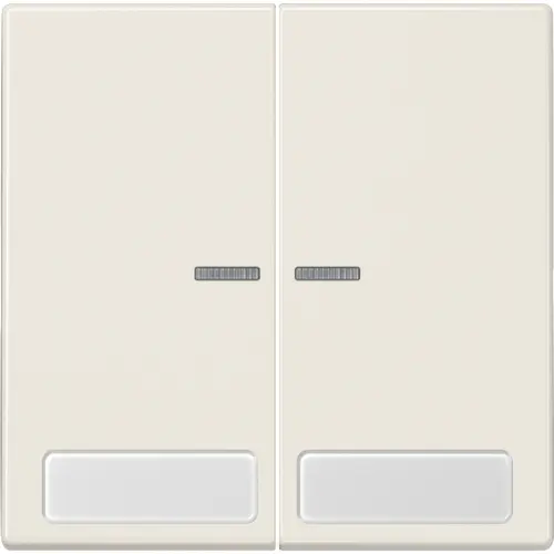 JUNG LS 995 NA KO5 schakelwip 2-voudig met controlevenster en tekstvenster LS990 creme