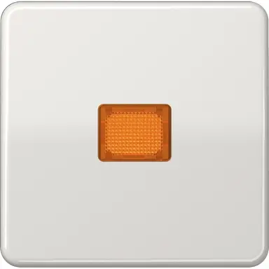 JUNG CD 590 KO LG schakelwip groot controlevenster CD500 lichtgrijs