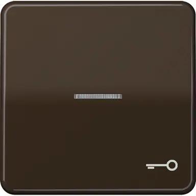 JUNG CD 590 KO5T BR schakelwip met sleutelsymbool en controlevenster CD500 bruin