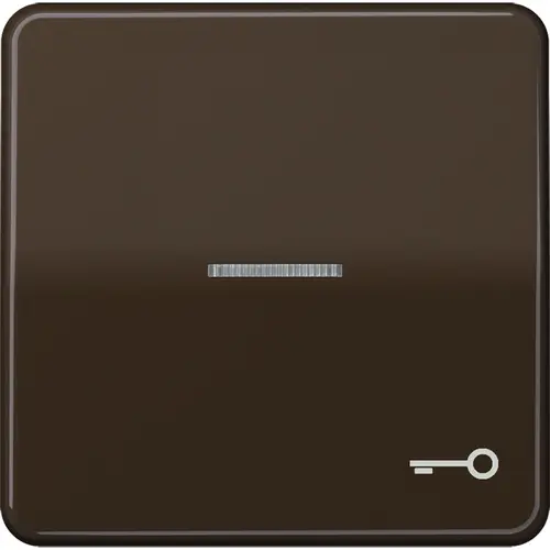 JUNG CD 590 KO5T BR schakelwip met sleutelsymbool en controlevenster CD500 bruin