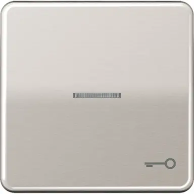 JUNG CD 590 KO5T PT schakelwip met sleutelsymbool en controlevenster CD500 platina