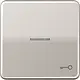 JUNG CD 590 KO5T PT schakelwip met sleutelsymbool en controlevenster CD500 platina