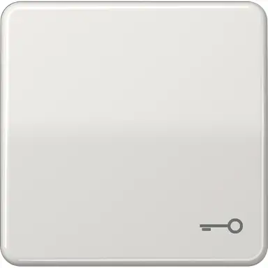 JUNG CD 590 T LG schakelwip met sleutelsymbool CD500 lichtgrijs