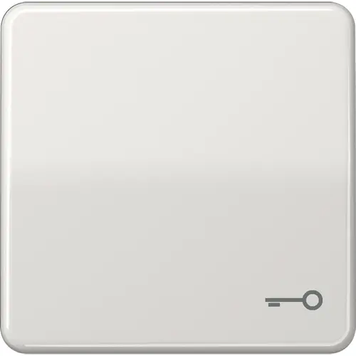 JUNG CD 590 T LG schakelwip met sleutelsymbool CD500 lichtgrijs
