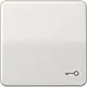 JUNG CD 590 T LG schakelwip met sleutelsymbool CD500 lichtgrijs