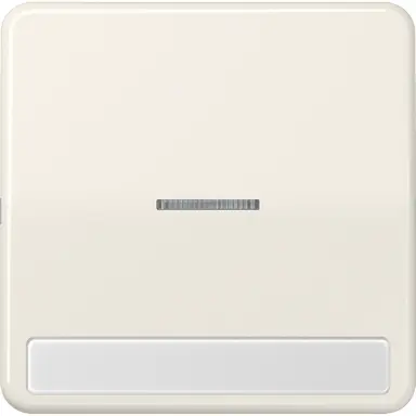 JUNG CD 590 NAKO5 schakelwip met controlevenster en tekstvenster CD500 creme
