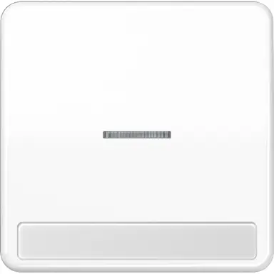 JUNG CD 590 NAKO5 WW schakelwip met controlevenster en tekstvenster CD500 alpine wit