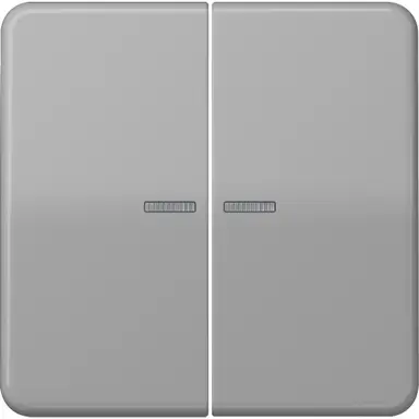 JUNG CD 595 KO5 GR schakelwip 2-voudig met controlevenster CD500 grijs
