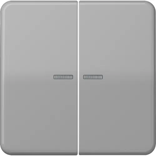 JUNG CD 595 KO5 GR schakelwip 2-voudig met controlevenster CD500 grijs