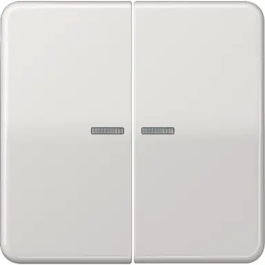 JUNG CD 595 KO5 LG schakelwip 2-voudig met controlevenster CD500 lichtgrijs