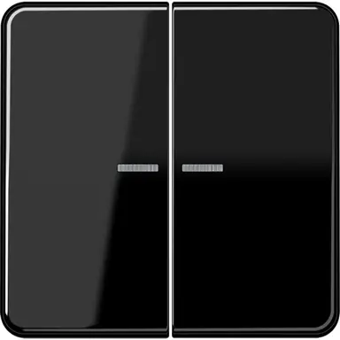 JUNG CD 595 KO5 SW schakelwip 2-voudig met controlevenster CD500 zwart glans