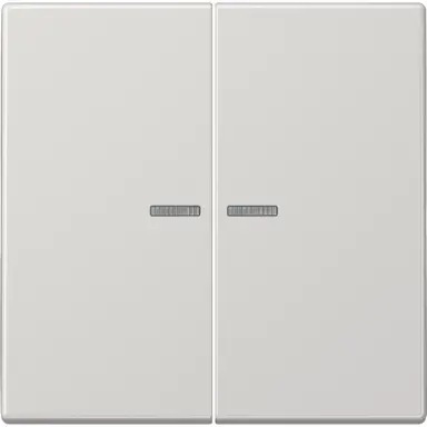 JUNG LS 995 KO5 LG schakelwip 2-voudig met controlevenster LS990 lichtgrijs