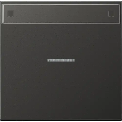 JUNG AL 2990 NAKO5 AN schakelwip met controlevenster en tekstvenster LS990 antraciet gelakt aluminium