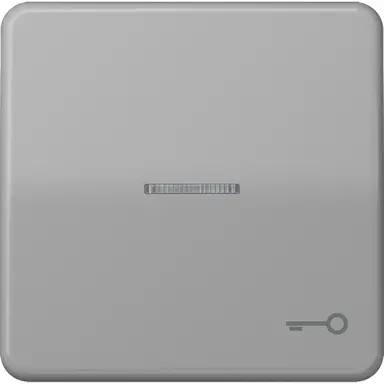 JUNG CD 590 KO5T GR schakelwip met sleutelsymbool en controlevenster CD500 grijs