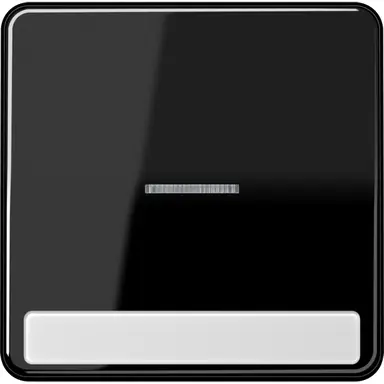 JUNG CD 590 NAKO5 SW schakelwip met controlevenster en tekstvenster CD500 zwart glans
