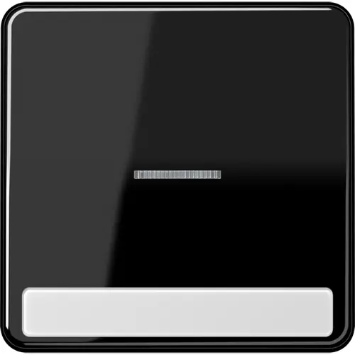 JUNG CD 590 NAKO5 SW schakelwip met controlevenster en tekstvenster CD500 zwart glans