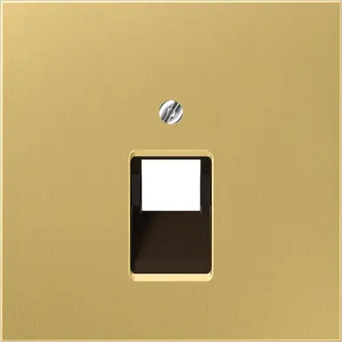 JUNG ME 2969-1 UA C centraalplaat 1-voudig tbv RJ45 wandcontactdoos LS990 messing klassiek