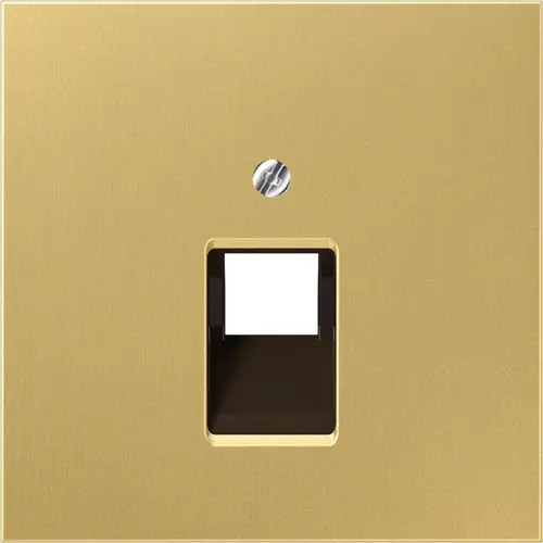 JUNG ME 2969-1 UA C centraalplaat 1-voudig tbv RJ45 wandcontactdoos LS990 messing klassiek
