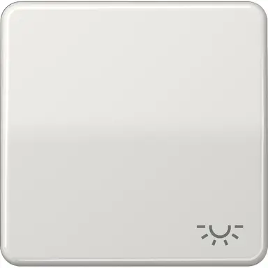 JUNG CD 590 L LG schakelwip met lichtsymbool CD500 lichtgrijs