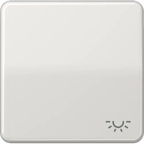 JUNG CD 590 L LG schakelwip met lichtsymbool CD500 lichtgrijs