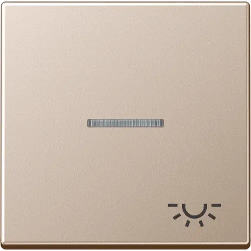 JUNG A 590 KO5 L CH schakelwip met lichtsymbool en controlevenster A-range champagne