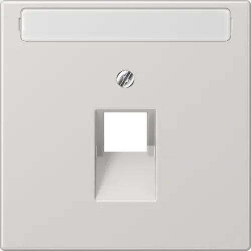 JUNG LS 969-1 NAUA LG centraalplaat 1-voudig met tekstvenster tbv RJ45 wandcontactdoos LS990 lichtgrijs